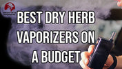 The Best Dry Herb Vaporizers on a Budget