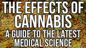 The Effects of Cannabis - A Guide to the Latest Medical Science