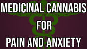 Medicinal Cannabis for Pain and Anxiety