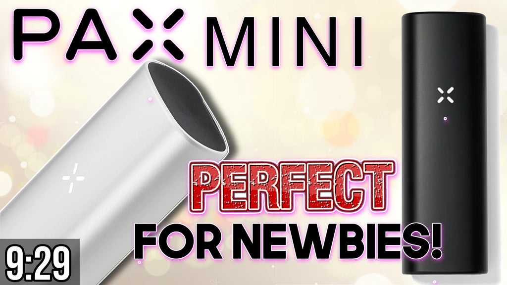 PAX Mini Review Video - Perfect Vaporizer For Beginners