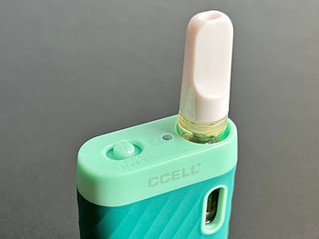 top view of ccell sandwave