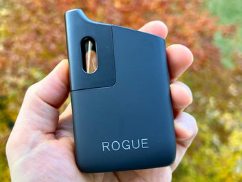Healthy rips rogue SE held in hand