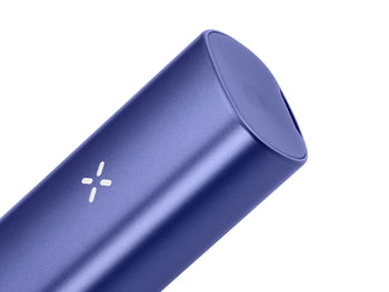 perrriwinkle pax plus with flat mouthpiece